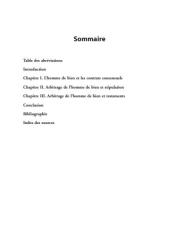 L'homme de bien dans les Basiliques