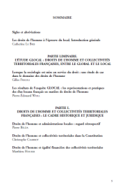 Les droits de l'Homme à l'épreuve du local Tome 1