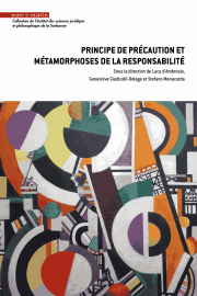 Principe de précaution et métamorphoses de la responsabilité